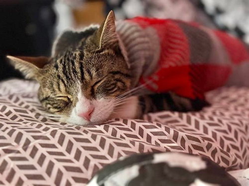 Milo