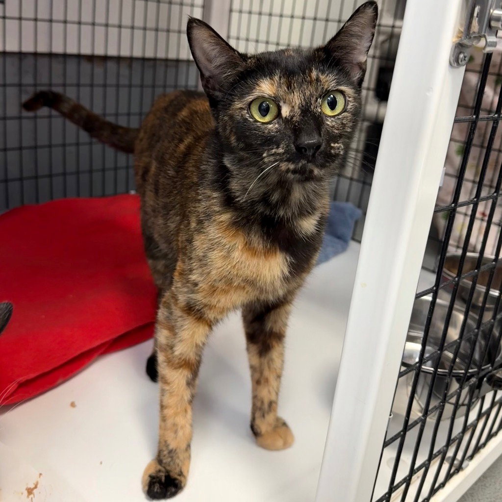Wanda, photo 2