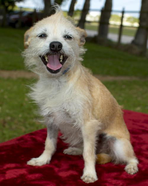 Millie Sweet Girl--N