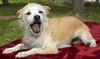 Millie Sweet Girl--N