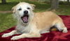 Millie Sweet Girl--N