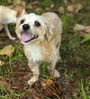 Graham-A sweet little cookie---N