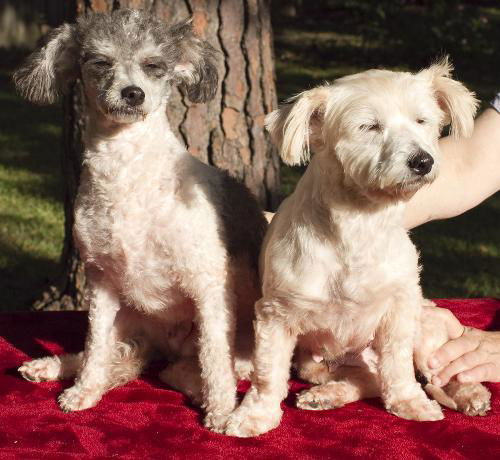 The Sisters---bonded and so sweet-N