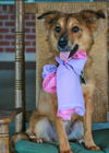 ROXY--Foxy girl