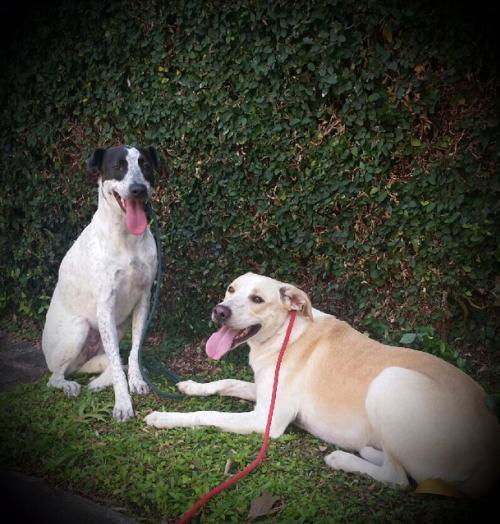 Sweet Libby and Logan---With Video-N