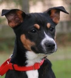 Miss Kristi adopted
