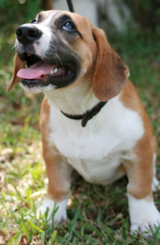 Miss Sophie Adopted