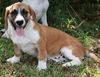Miss Sophie Adopted