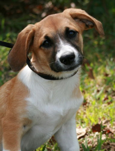 Miss Madison Adopted