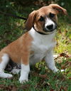 Miss Madison Adopted