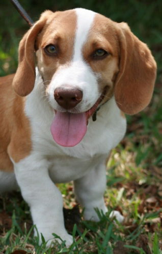 Mr. Hunter/Adopted