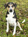 SNOOPY !!-Good Good Boy