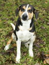 SNOOPY !!-Good Good Boy