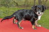 Douglas Jr---DJ-_Low rider cutey