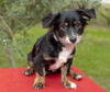 Douglas Jr---DJ-_Low rider cutey