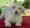 Steve---beautiful boy