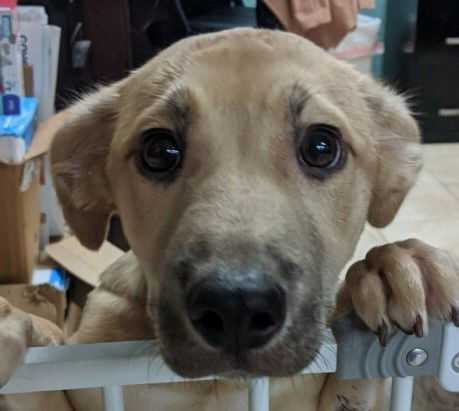 Blessing-Fostered in Washington