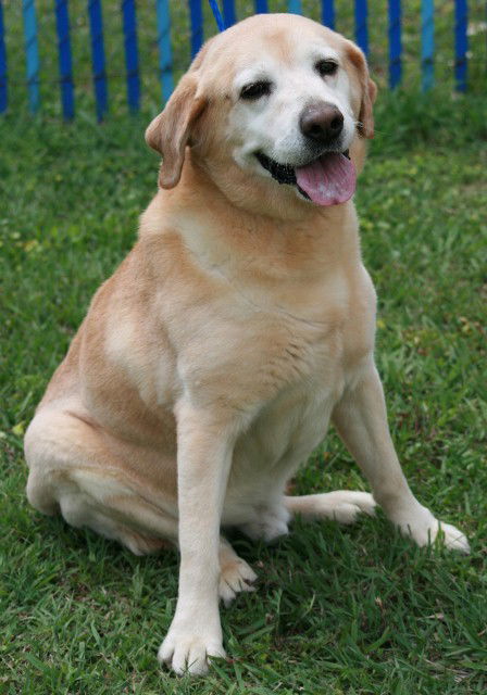 Bo