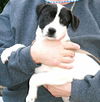 Tilly Sue