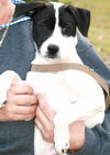 Tilly Sue