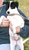 Tilly Sue