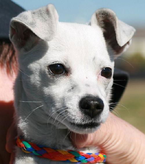 Tilly--pending
