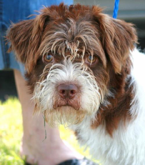 Murphy