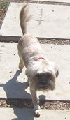 Mitzy