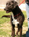 Precious--PENDING