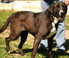 Precious--PENDING