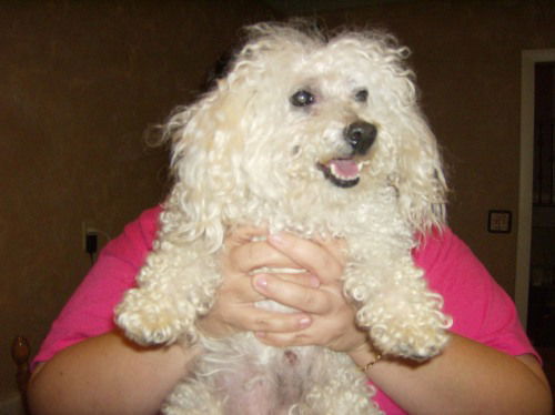 Bubbles  ADOPTED!