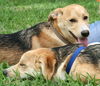 Sisters Tanzy and Tosha