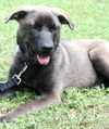 Grayson-sweet boy