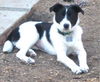 Trudy