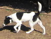 Trudy
