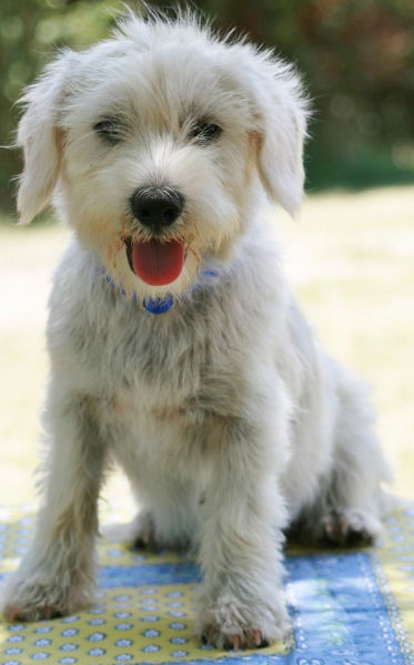 Mr.Winter-ADOPTED
