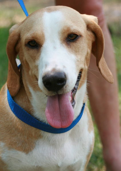 Miss Coco ADOPTED