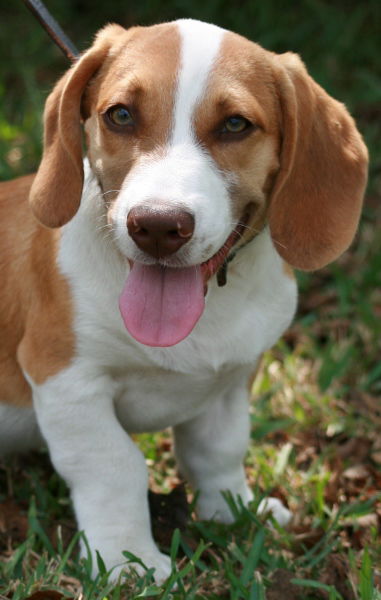 Mr. Hunter/Adopted