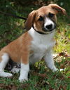 Miss Madison Adopted