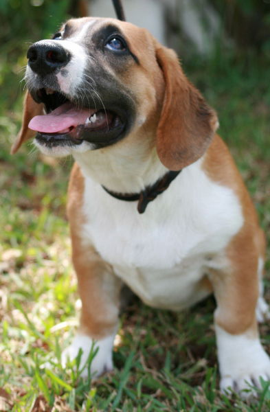 Miss Sophie Adopted