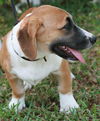 Miss Sophie Adopted