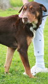 Mr. Justice ADOPTED