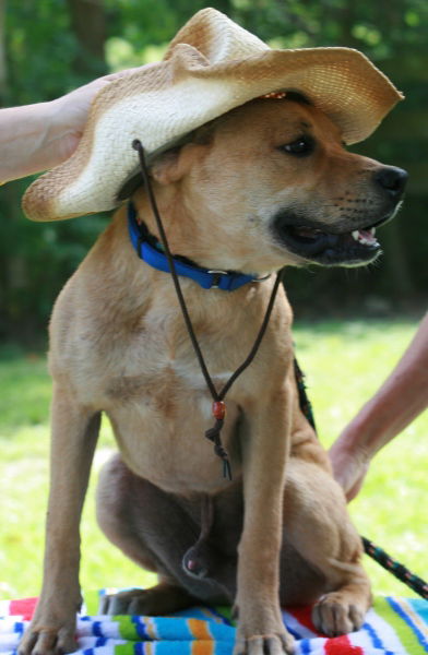 Buster