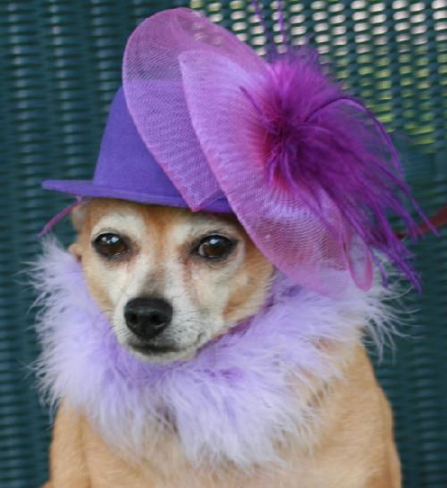 Miss Beatrice