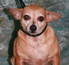 Miss Beatrice