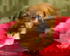 Emmit N