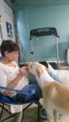 Sweet Libby and Logan---With Video-N