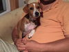 SUNNY D---N---FOSTERED IN CT-VIDEO