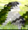 MORK--S