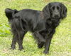Lovely Lilly-S